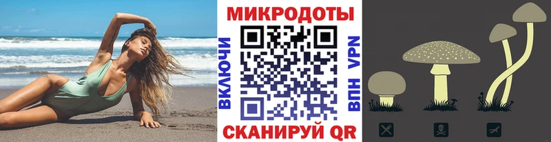 как найти закладки Липки Псилоцибиновые грибы Psilocybine cubensis